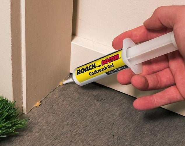 Cockroach-Killing Glue Bait Syringe