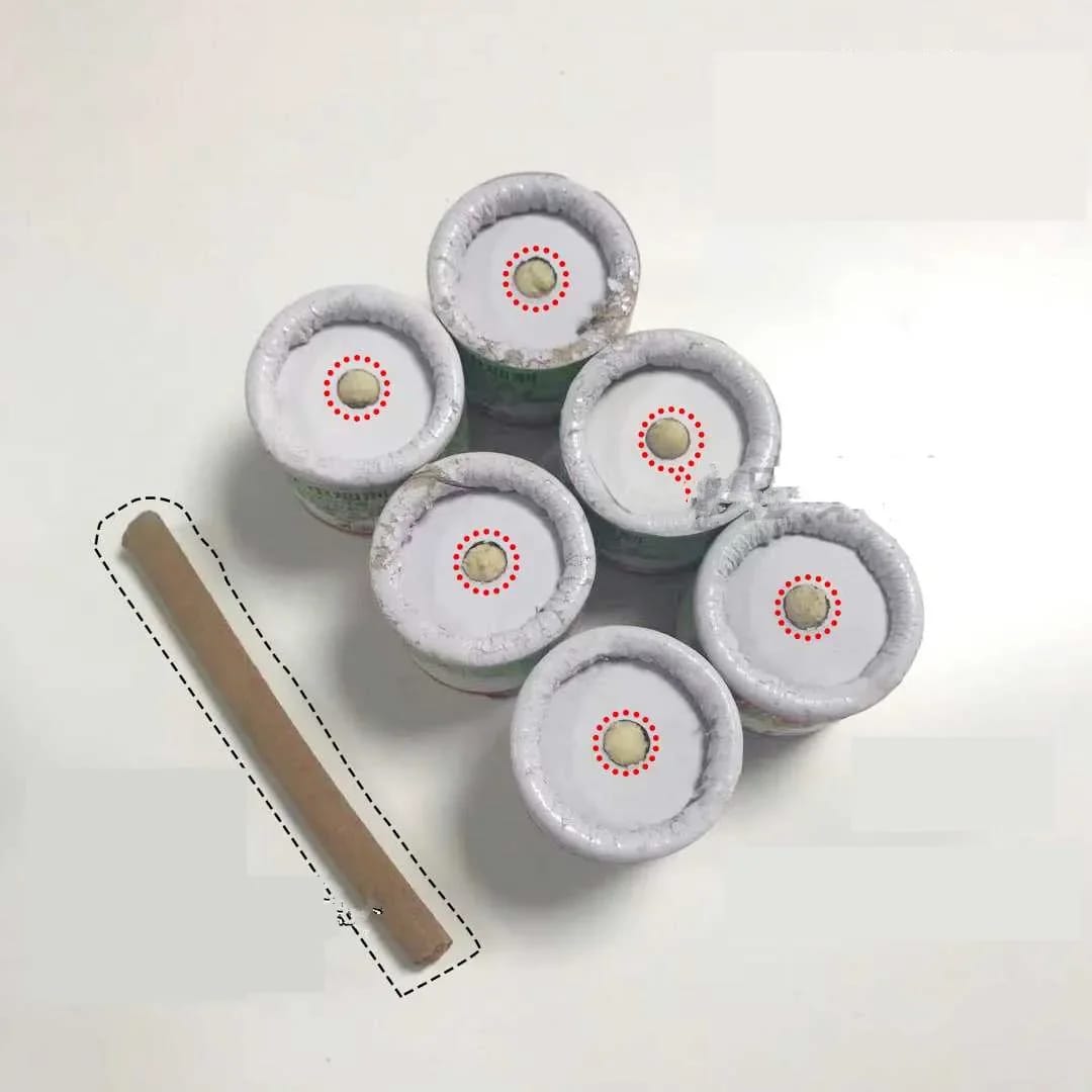 6pcs Insect Control Magical Smog For All Kids Of Insects